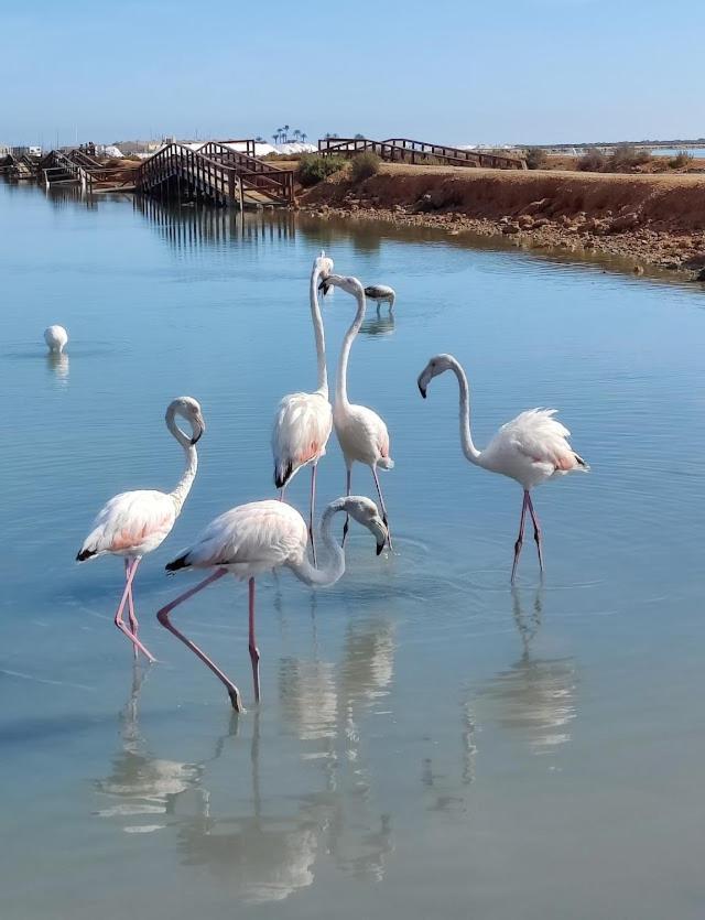 La Casika De Lola Villa San Javier Bagian luar foto